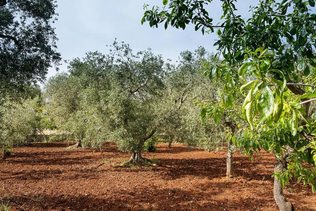 Villetta Da Zio Marcello Ostuni Extérieur photo