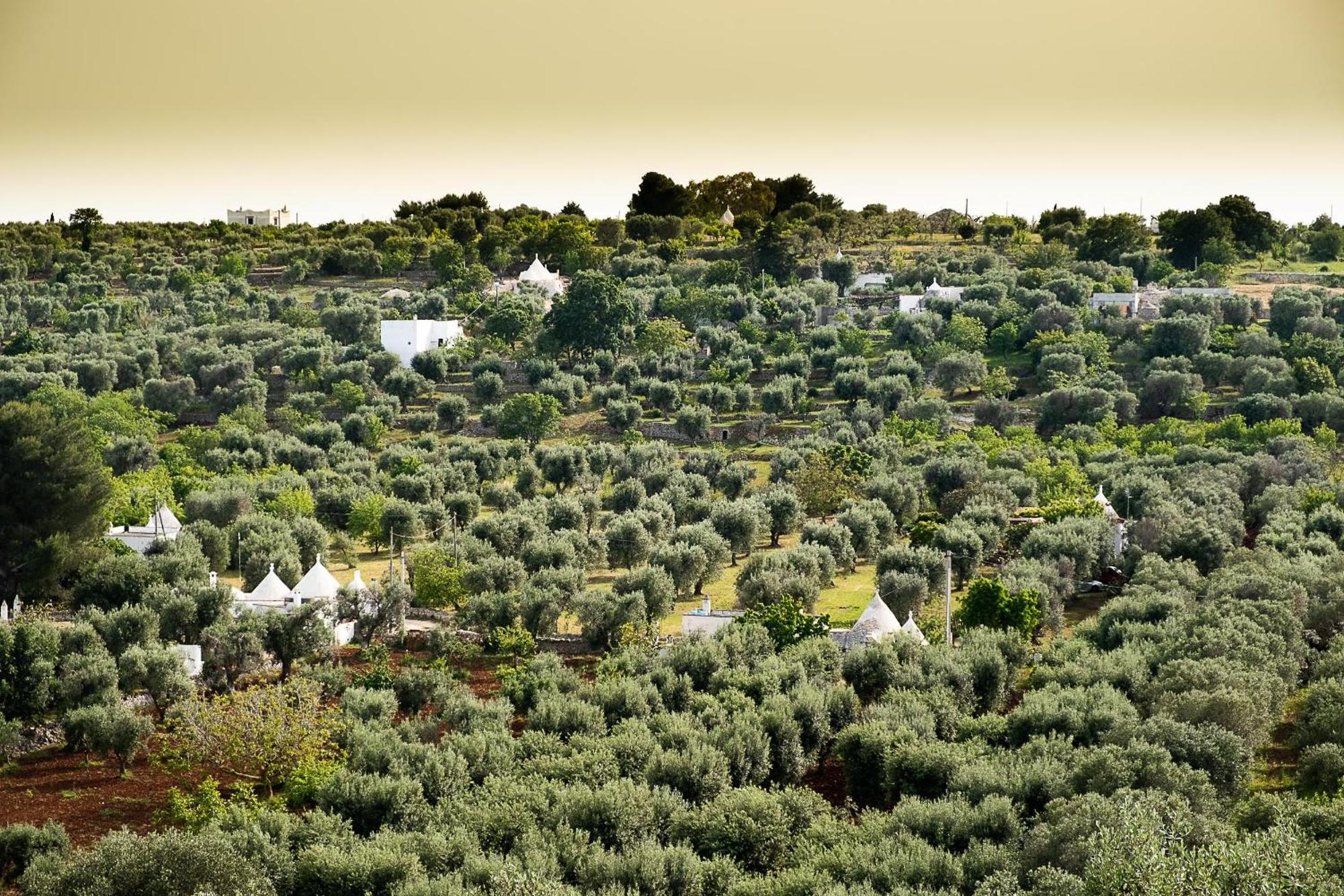 Villetta Da Zio Marcello Ostuni Extérieur photo